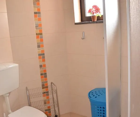 Dinita